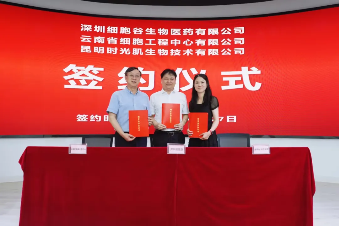 深圳細(xì)胞谷生物醫(yī)藥有限公司、云南省細(xì)胞工程中心有限公司及昆明時光肌生物技術(shù)有限公司達(dá)成戰(zhàn)略合作