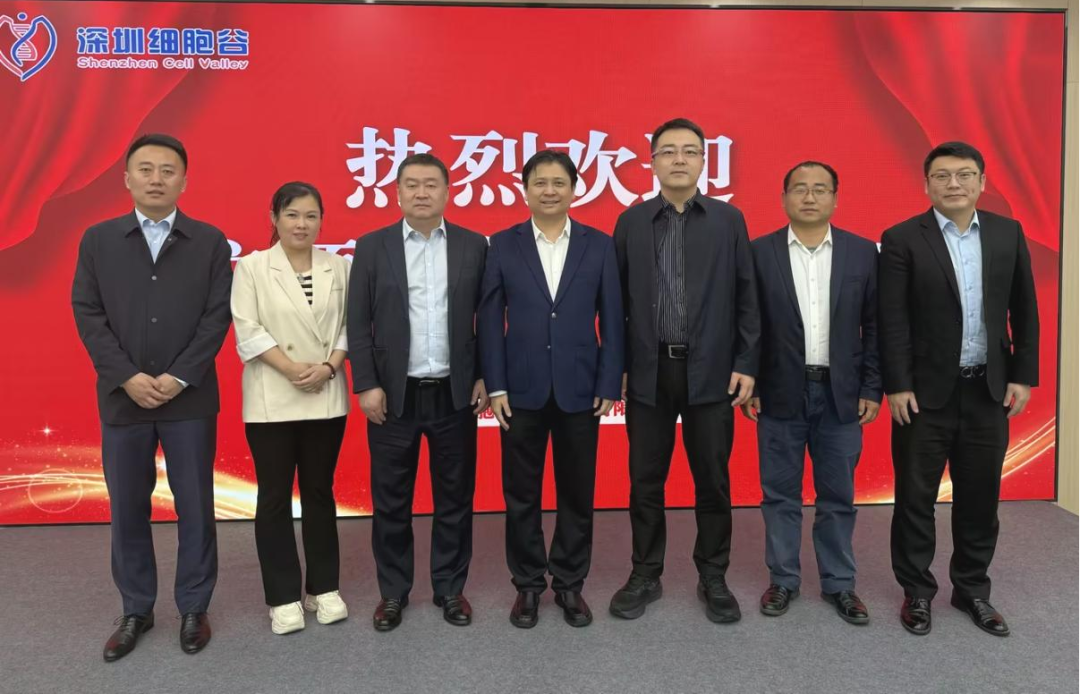 大連市金普新區(qū)領(lǐng)導一行蒞臨深圳細胞谷調(diào)研考察