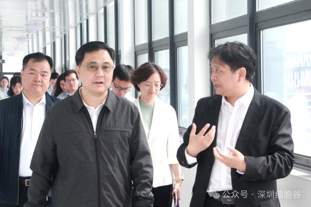 深圳市科創(chuàng)局張林局長一行調(diào)研深圳細胞谷