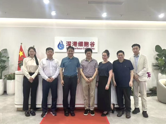 深港合作|香港科技大學(xué)卜國(guó)軍教授訪問深港細(xì)胞谷，共議科研與產(chǎn)業(yè)融合新路徑